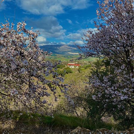 El Sueno, Cortijo Andalusi Del Siglo XIX Villa Almogia ภายนอก รูปภาพ