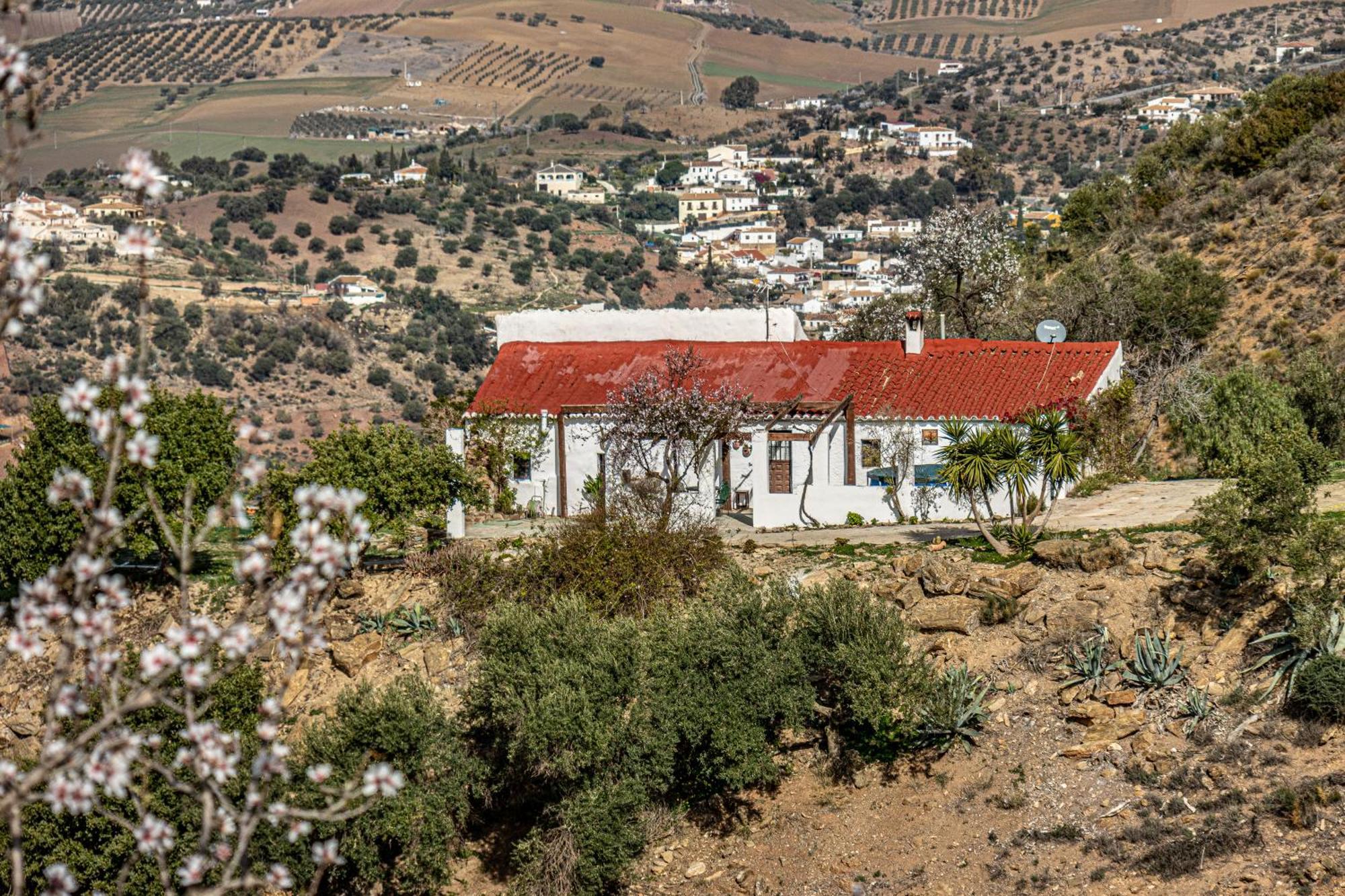 El Sueno, Cortijo Andalusi Del Siglo XIX Villa Almogia ภายนอก รูปภาพ